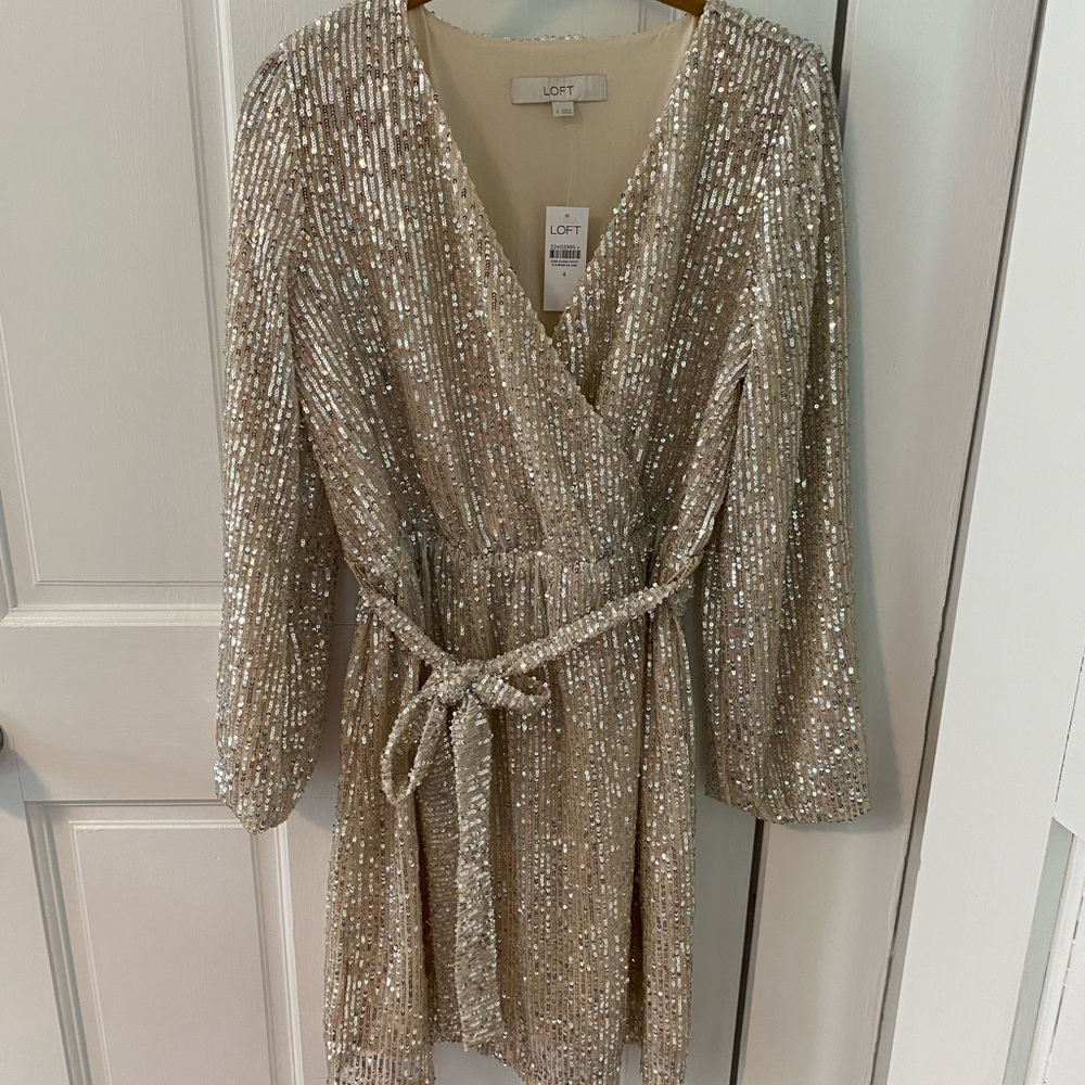 Loft Long Sleeve Sparkle Dress